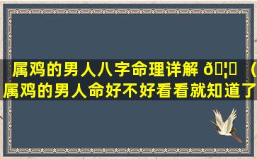 属鸡的男人八字命理详解 🦟 （属鸡的男人命好不好看看就知道了）